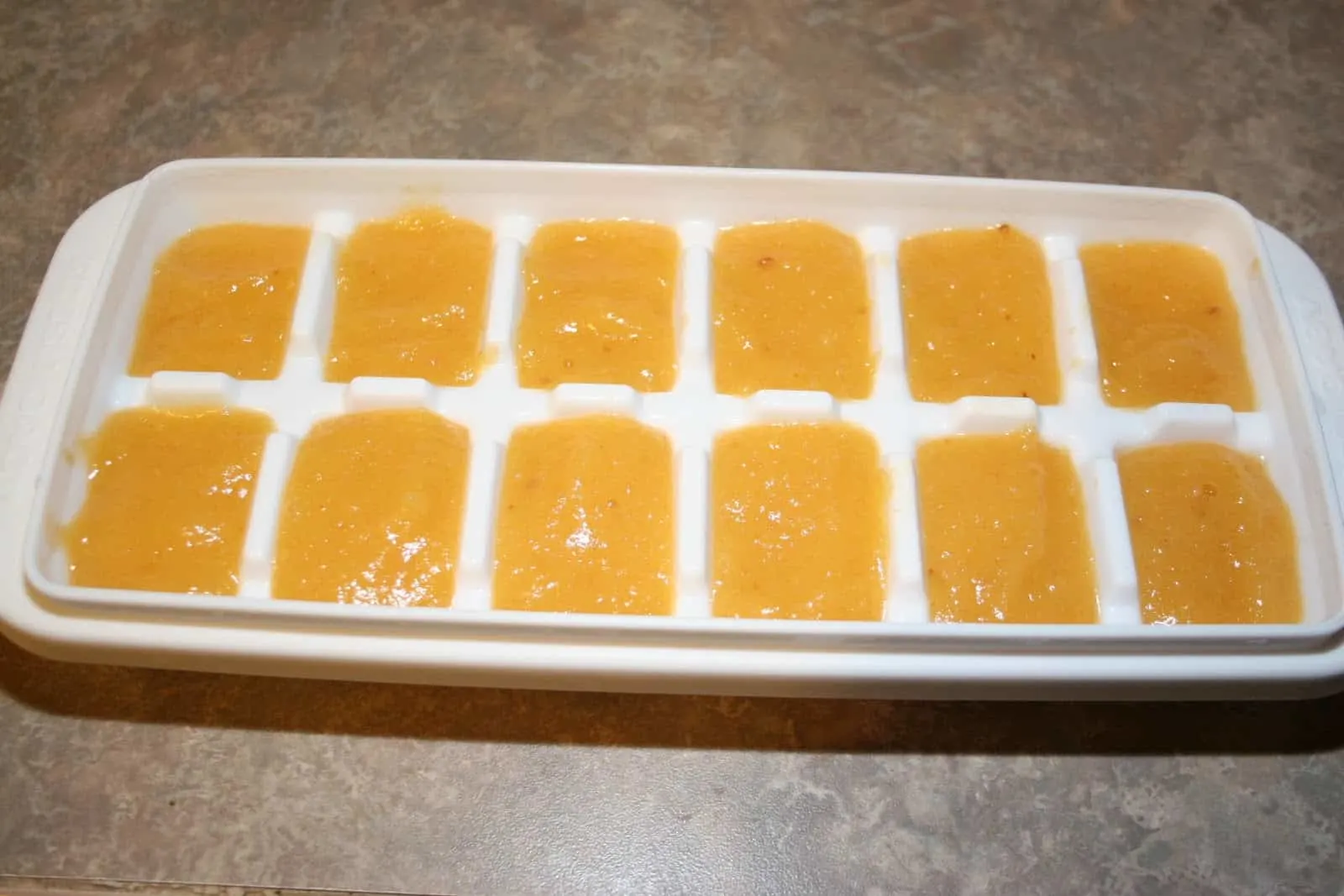 Baby food in tray - The Not So Modern Housewife