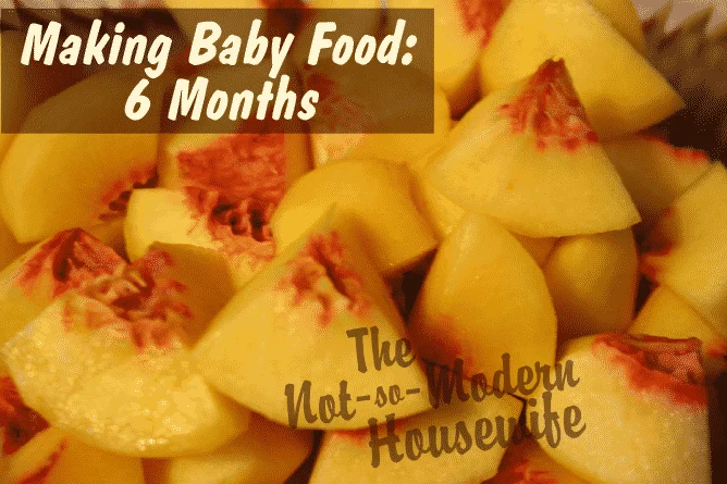 Homemade Baby Food