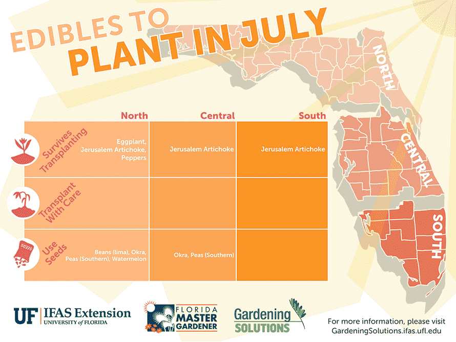 Florida Edibles to Plant in July