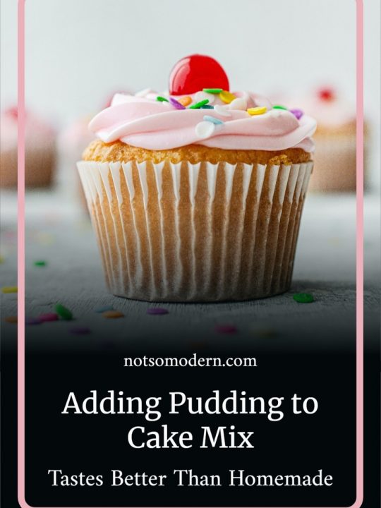 decorated vanilla cupcake with pink icing, cherry, and sprinkles - adding pudding to cake mix to make it taste better than homemade