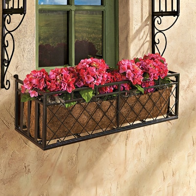 Best Planters for Your Container Garden - Window Boxes