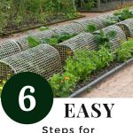 6 Easy Steps For Organic Pest Control