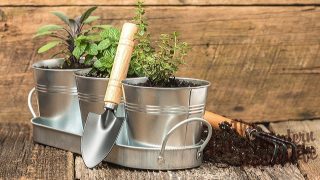 Create a Giftable Indoor Herb Garden Kit