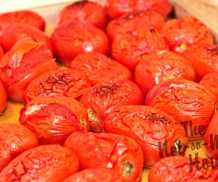 roasted roma tomatoes used for homemade salsa recipe