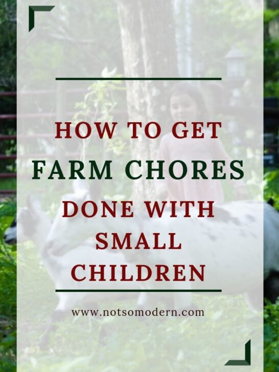 How to get farm chores done with small children