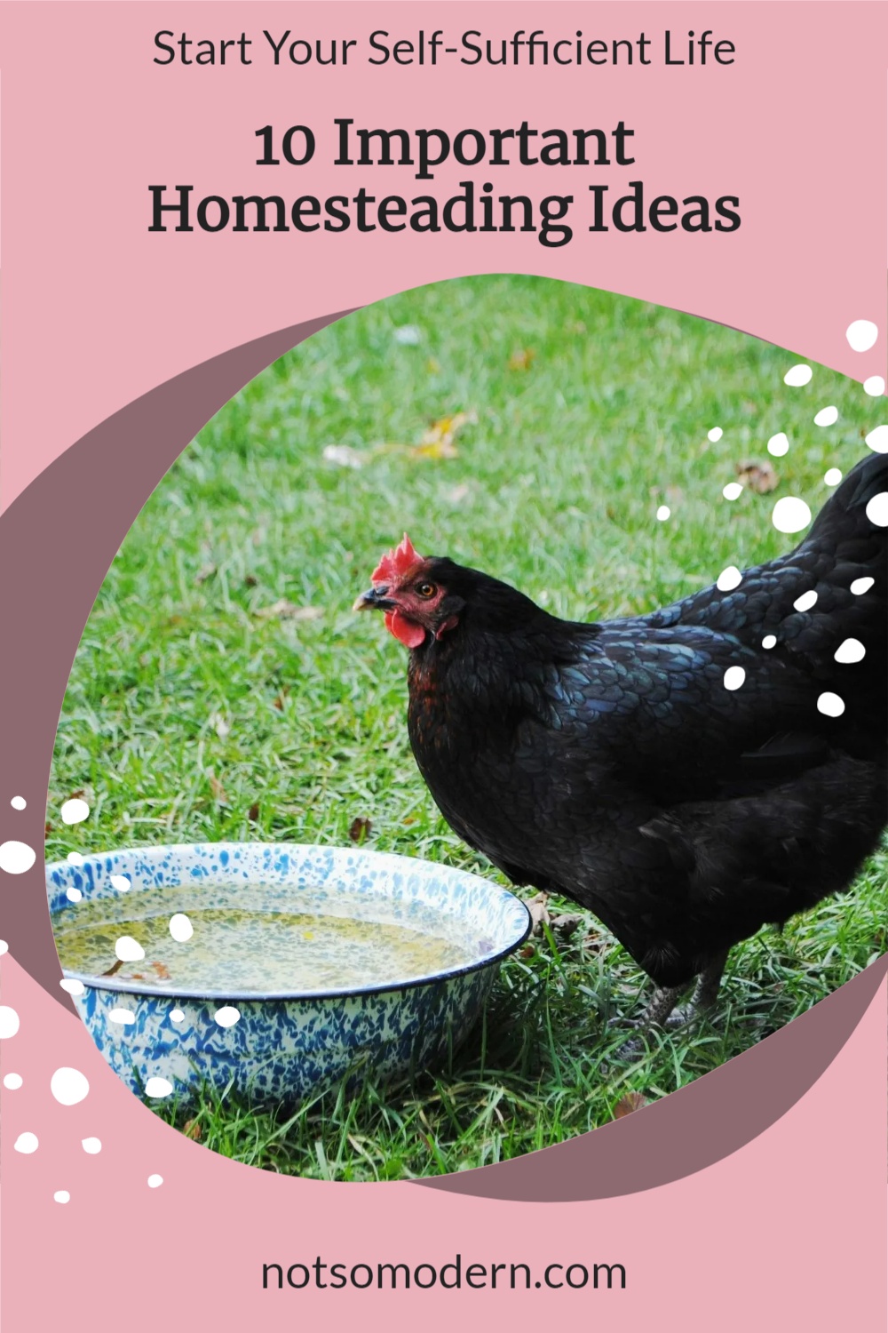 10 Important Homesteading Ideas To Start Your Self Sufficient Life