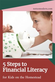 5 Essential Principles Of Financial Literacy For Kids On The Homestead