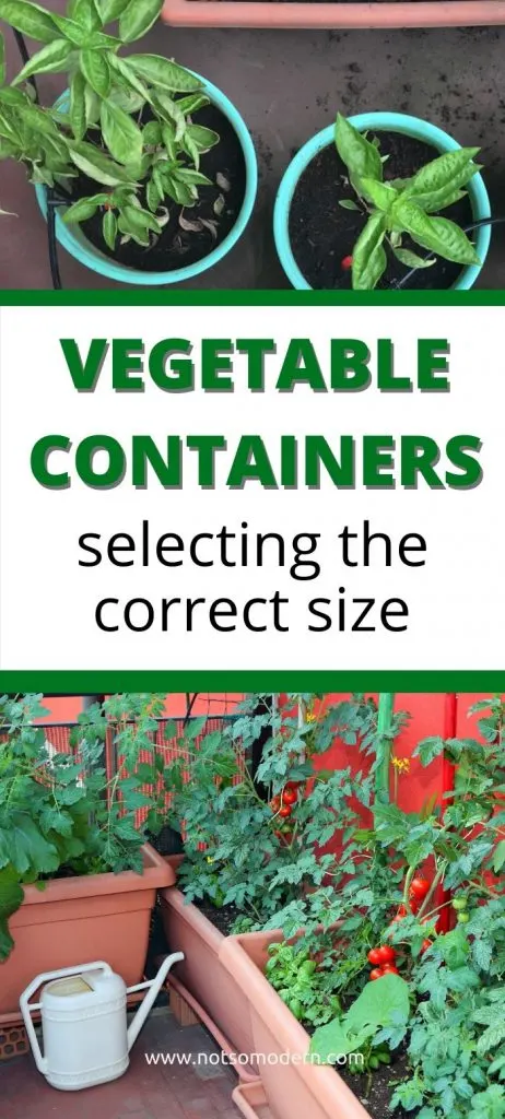 Choosing the best containers for growing vegetables