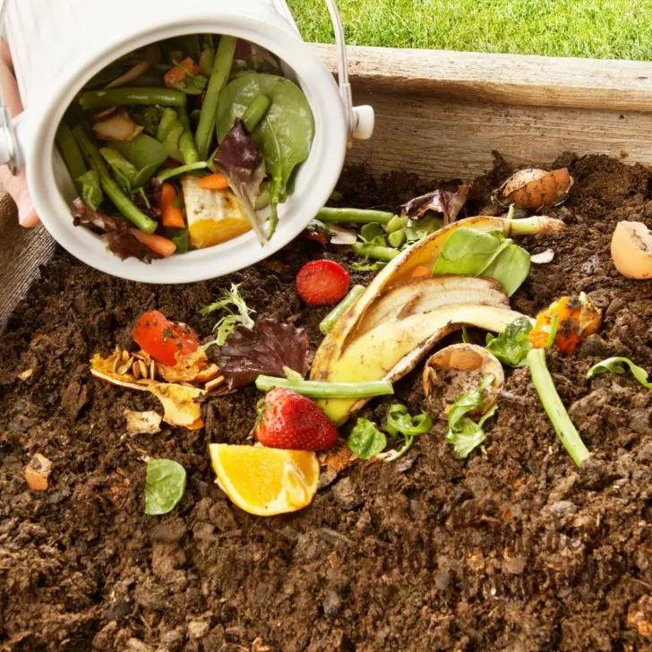 Composting Tumbler Tips: Your Quick Guide to Success - The Homestead  Challenge