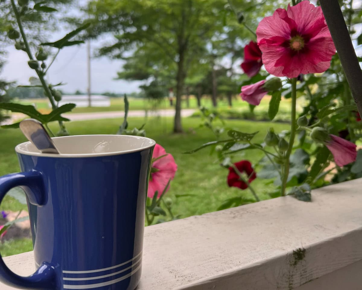 A peaceful morning scene on a front porch featuring a blue coffee mug with a spoon resting inside. Vibrant pink hibiscus flowers frame the image, with a view of a lush green lawn and trees in the background. The setting exudes calmness, connection to nature, and the simple joy of starting the day with coffee.